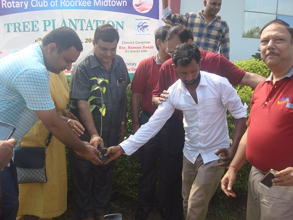 plantation in Haridwar Univeristy
