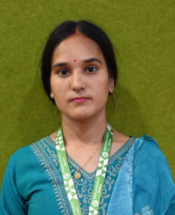 Haridwar University Faculty