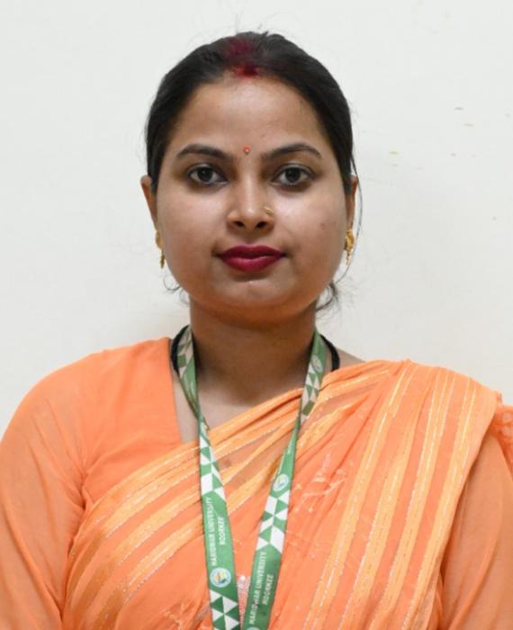 Haridwar University Faculty