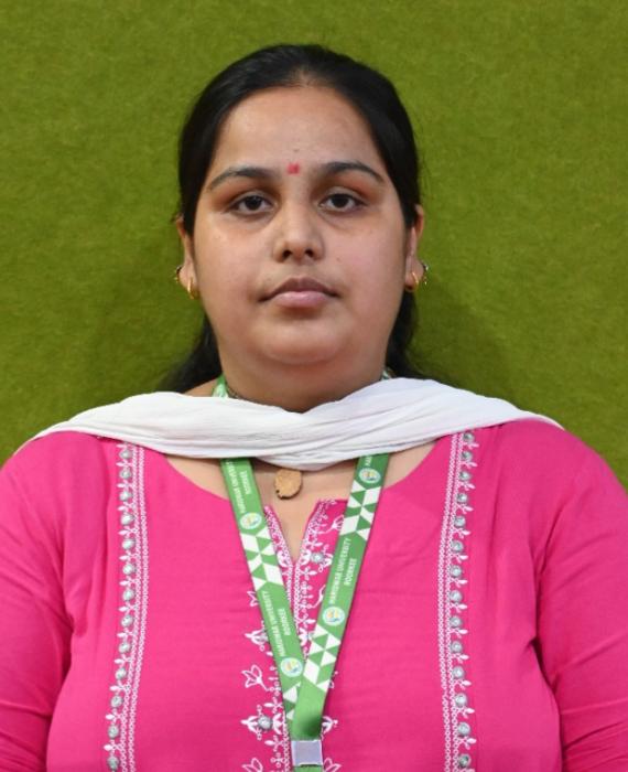 Haridwar University Faculty