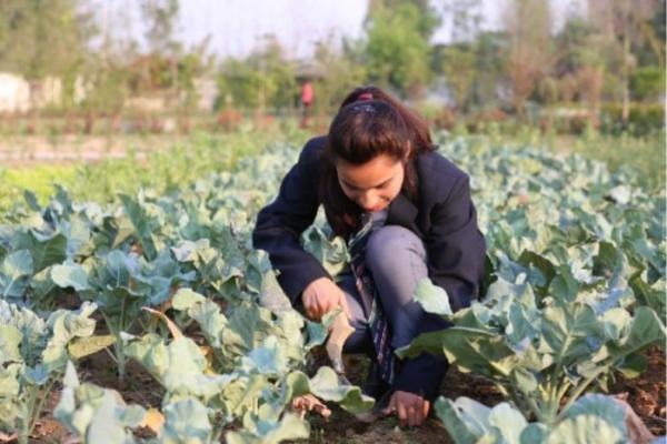 B.Sc. (Hons.) Agriculture