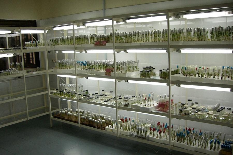 agriculture Lab